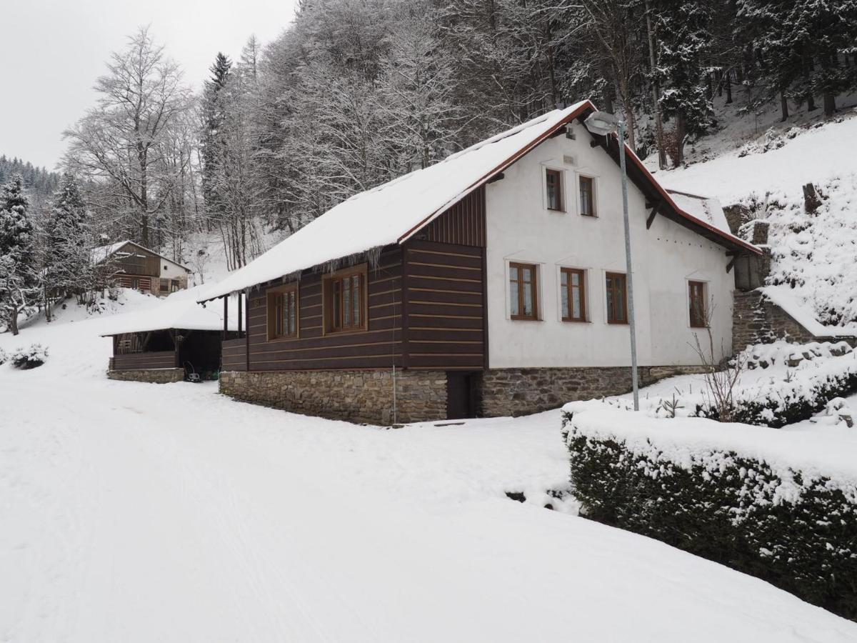 Chalupa Tomášek v blízkosti ski areálu Dolni Dvur Exterior foto