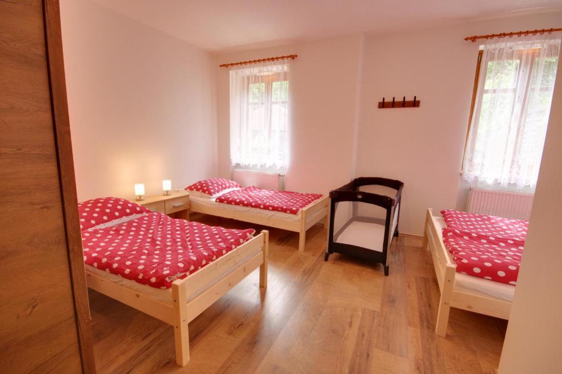 Chalupa Tomášek v blízkosti ski areálu Dolni Dvur Exterior foto