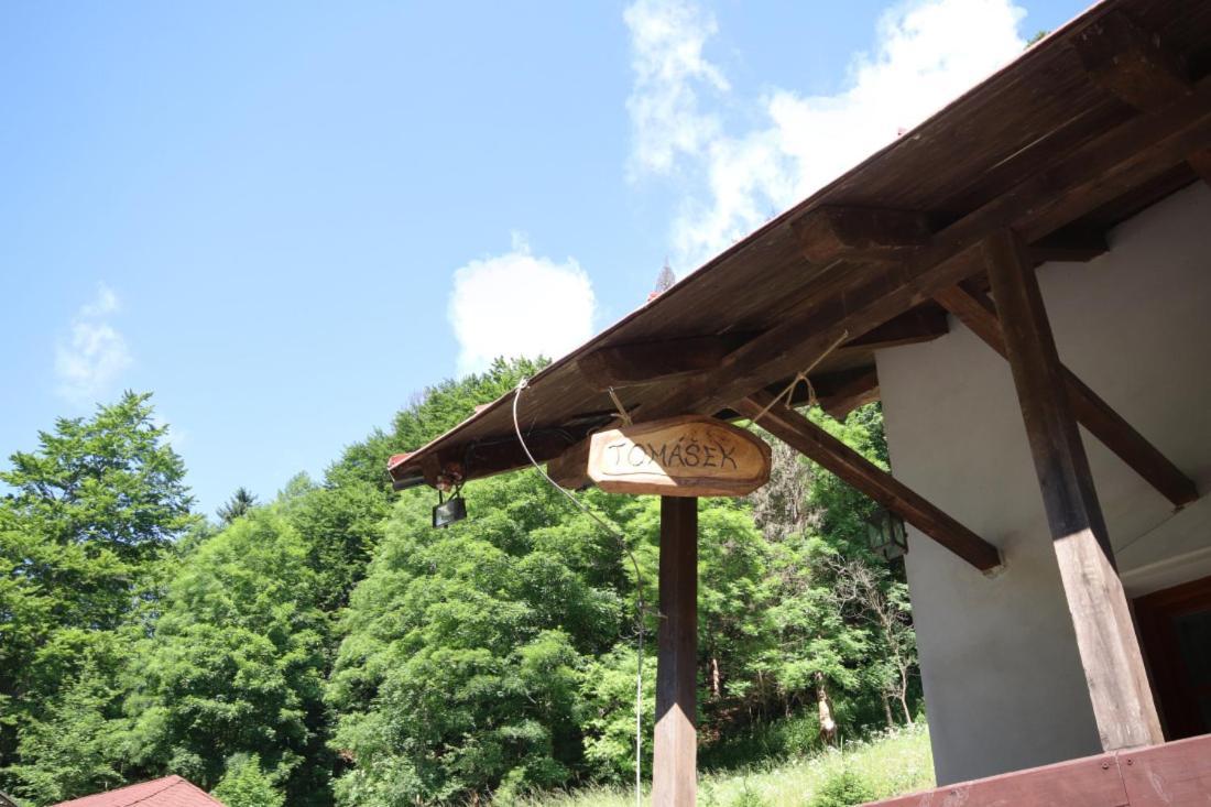 Chalupa Tomášek v blízkosti ski areálu Dolni Dvur Exterior foto